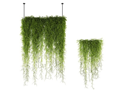 3d藤蔓植物绿植吊装植物模型