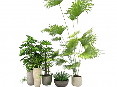 现代植物盆栽花盆模型