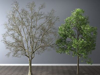 现代植物盆景树模型3d模型