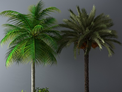现代植物盆景树模型3d模型
