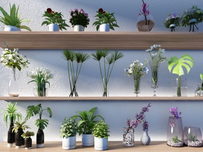 3d现代绿植花卉花瓶组合模型