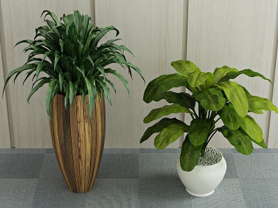 现代绿植盆栽植物模型3d模型