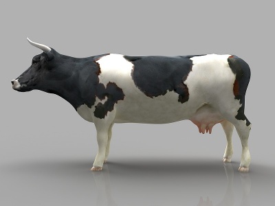 3d现代风格奶牛模型