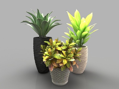 3d现代风格植物花瓶模型
