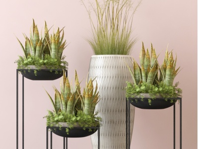 北欧盆景盆栽花瓶植物模型3d模型
