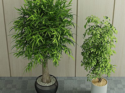 现代植物盆栽绿植模型3d模型