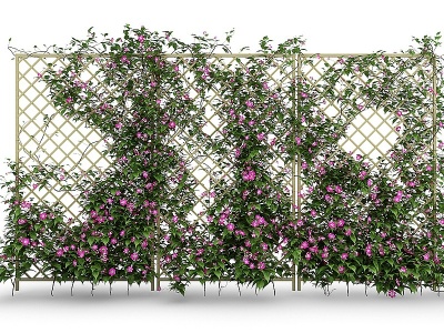 3d爬山虎藤蔓植物栅栏院墙模型