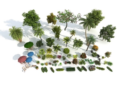 3d中式灌木大树小品植物模型