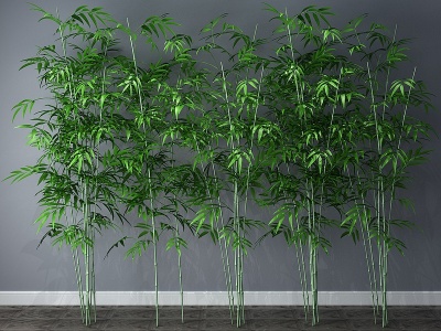 3d现代植物竹子竹模型