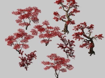 3d枫树红枫树树植物模型