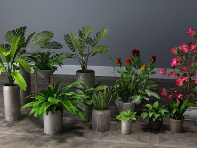 3d现代植物盆栽花瓶花卉模型