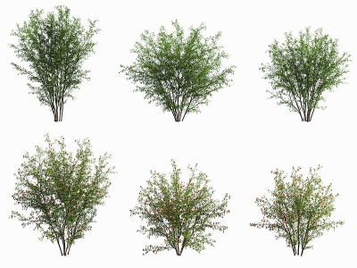 3d现代<font class='myIsRed'>景观树木</font>模型
