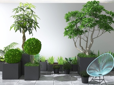 3d植物盆景盆栽绿植模型
