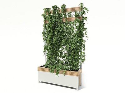 3d爬山虎藤蔓植物绿植墙模型