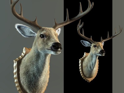 鹿头墙面挂件模型3d模型