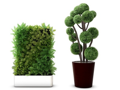 3d盆景植物组合模型