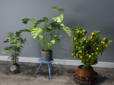 现代植物盆景盆栽模型3d模型
