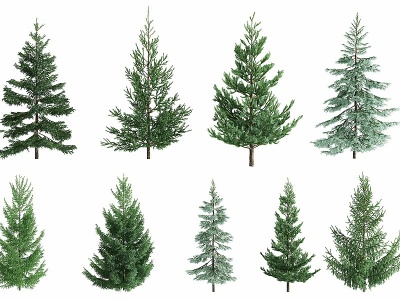 3d现代松树景观树模型