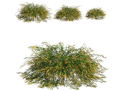 3d植物草模型