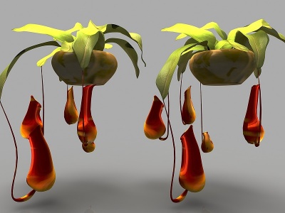 3d现代风格植物花模型