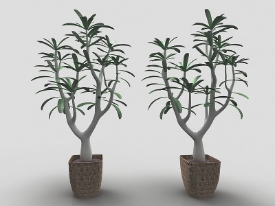 3d现代风格植物<font class='myIsRed'>花盆</font>模型
