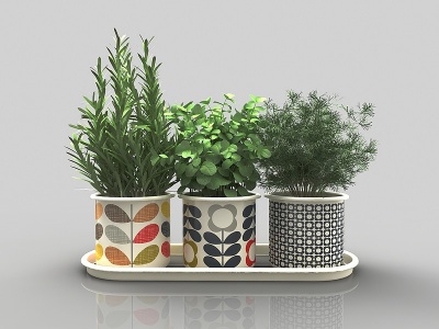 3d现代风格植物花盆模型
