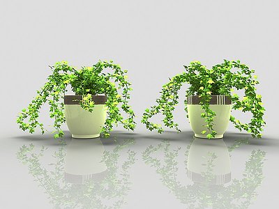 现代风格植物花盆模型