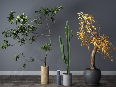 现代植物盆栽盆景模型3d模型