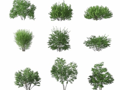 现代绿植灌木模型