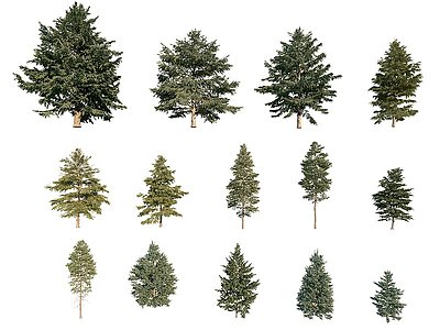 现代松树景观树模型3d模型