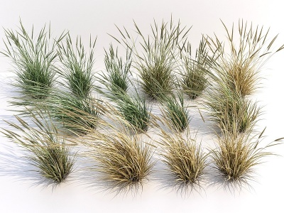 C4D3d现代草丛植物模型下载模型