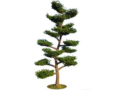 树植物景观树模型3d模型