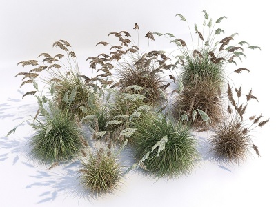 3d现代草丛植物模型