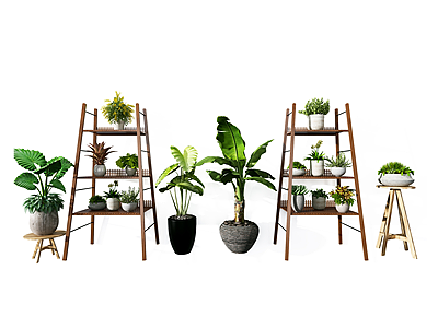 3d现代花架植物盆栽模型