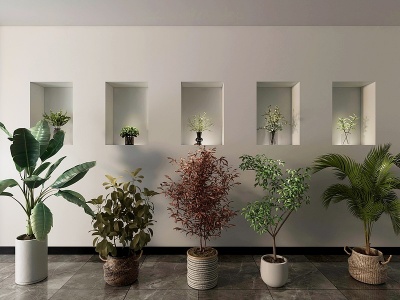 3d绿植盆栽花瓶饰品模型