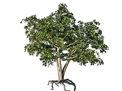 3d简欧绿植树木模型