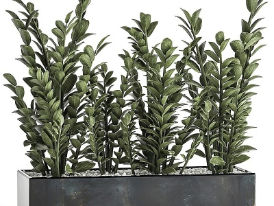 现代绿植花钵模型3d模型