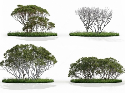 3d现代观景树木模型