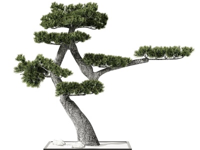 3d新中式景观树模型