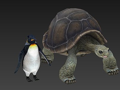 3d动物侧颈龟企鹅模型