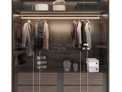 现代轻奢衣柜组合模型3d模型