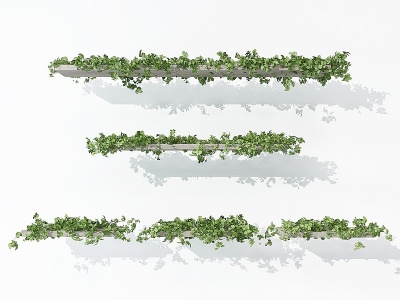 3d现代植物藤蔓模型