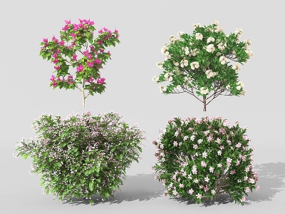 现代景观植物树灌木花草模型3d模型