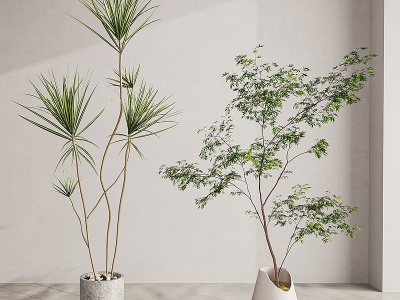 3d现代植物盆栽模型
