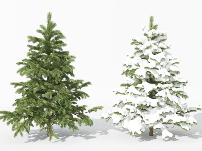 3d景观植物松柏雪景树模型
