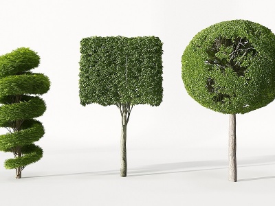 现代景观园林植物模型3d模型