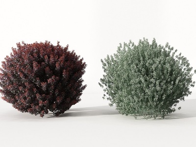 3d现代园林植物灌木模型