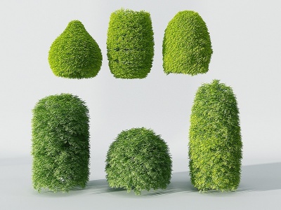 3d现代景观园林植物树模型