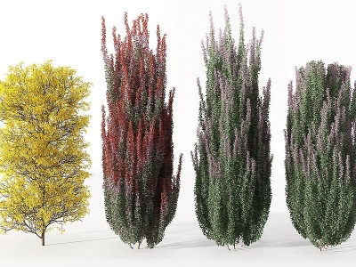 现代园林植物景观树模型3d模型