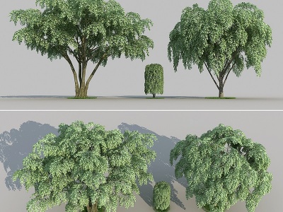 现代景观树榕树景观组合模型3d模型